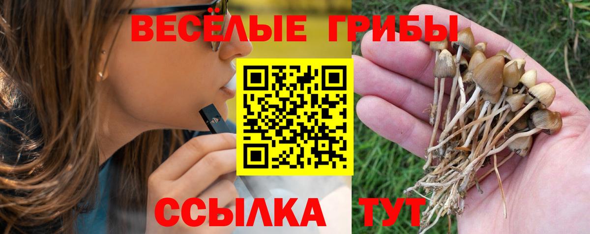 Галлюциногенные грибы MAGIC MUSHROOMS  Вход с VPN  Вышний Волочёк  Галлюциногенные грибы Magic Shrooms 